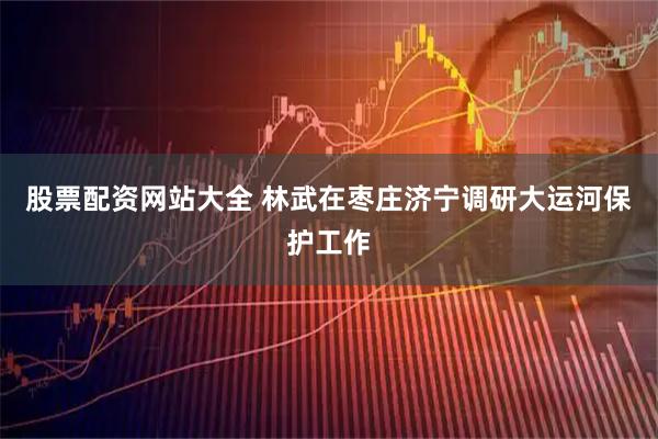 股票配资网站大全 林武在枣庄济宁调研大运河保护工作
